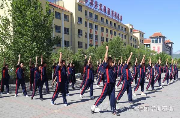 武术学校学子标准的技术动作