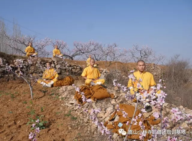 少林寺武术学校