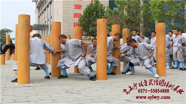 学习武术那里好学费多少