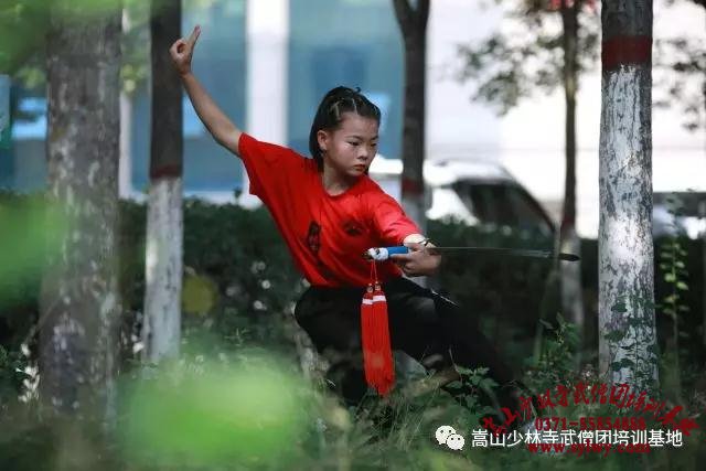 少林寺武僧团又有10名学员入选国家队集训