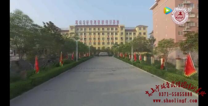 武僧团花姐带你走进传说中的“习武圣地”！