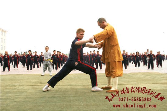 河南武术学校有哪些好