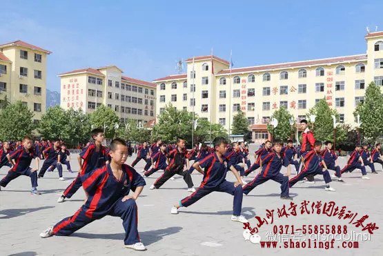 嵩山少林寺文武学校学费