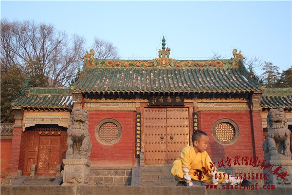 10岁以下的孩子适合学习什么武术