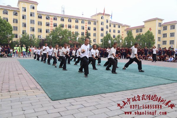 嵩山少林寺招生骗局怎么破