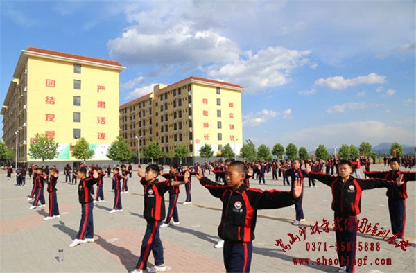 登封市少林小龙武术学校招生要求有哪些